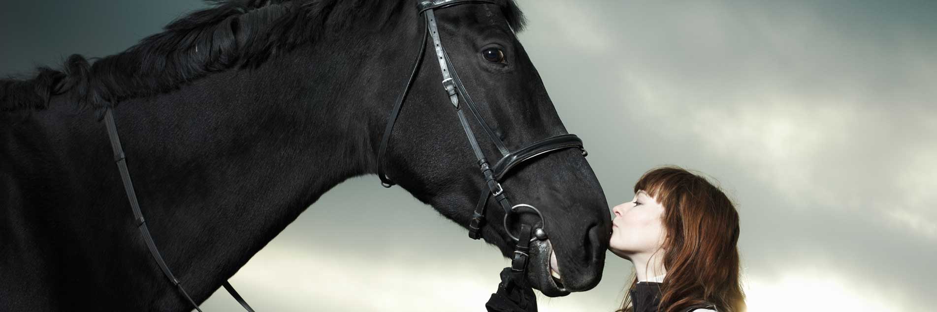 Equine Herbals